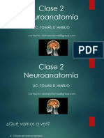 Clase 2 - Neuroanatomía