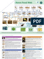 Lake Huron Food Web