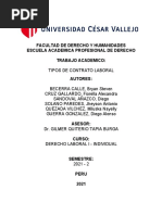 Trabajo Grupal Tipos de Contratos - Semana 10 - 04nov2021