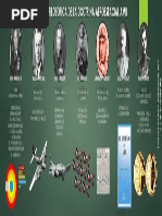 Infografia Doctrina Aeroespacial