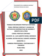 Trabajo Encargado Peritaje Contable