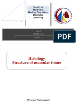 10 - Histology Lecture, Structure of Muscular Tissue