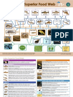 Lake Superior Food Web