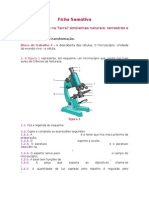 Ficha Sumativa Microscopico