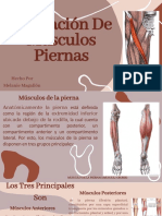 Charla Del Musculo de La Pierna