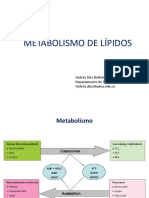 Metabolismo de Lípidos