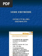 Serie Eritroide Hemoglobina - Estructura y Funcion