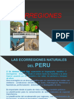 Ecorregiones Del Peru