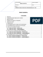 Informe Carga de Fuego - Nicolas Arenas