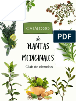 Plantas Medicinales