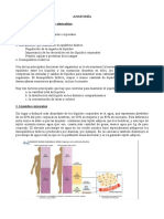 Equilibrio de Líquidos y Electrolitos