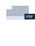 Análisis Financiero Empresa Austral Group