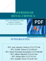 Enfermedad Renal Cronica (Erc)