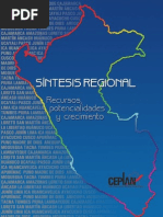 CEPLAN - Síntesis Regional