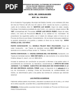 PDF Documento