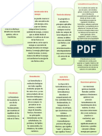 Comprendiendo El Geosistema