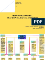 Hoja de Trabajo No. 1 Anatomía Del Sistema Endocrino