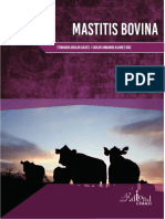 Mastitis Bovina