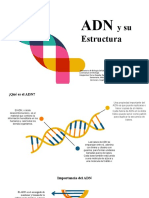 ADN y Su Estructura