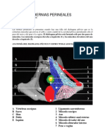 4 Hernia Perineal