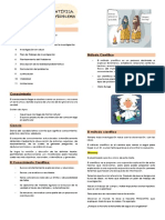 Investigación Científica. Planteamiento Del Problema