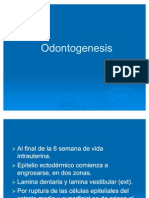 Odontogenesis