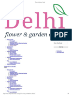 Trees & Shrubs - Delhi