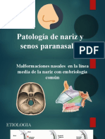 Patología de Nariz y Senos Paranasales