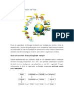 Organização Da Vida - Definições