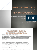 Neurotransmisor 