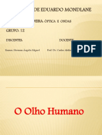 O Olho Humano