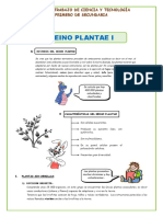 01 El-Reino - Plantae I-Características-Secundaria