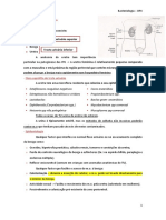 Objetivo 1 de Bacteriologia