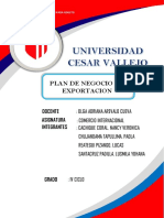 Plan de Exportacion Comercio-Trabajo Final