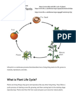 Life Cycle of Plants - 5 Stages + Fun Facts - Science4Fun