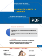 Cambios en La Mujer Durante La Gestación - 2022 10