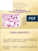 Diapositiva de Tejido Conjuntivo Auxi