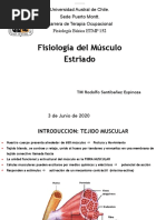 6-Clase Teórica F. Muscular