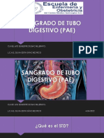 Sangrado de Tubo Digestivo (Pae)