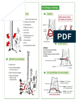 Abattage D'un Arbre