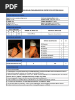 Fichas de Inspeccion Arneses