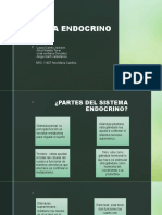 Actividad 8 Sistema Endocrino