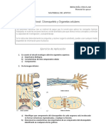 Biología Celular-Material de Apoyo para Décimo Sexta y Décimo Séptima Sesión-6-16