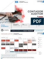 Advance Contador Auditor Uss