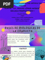 Proyecto Individual Psicologia