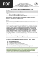 Comprensión Lectora Ensayo Simple 1 - Respuestas