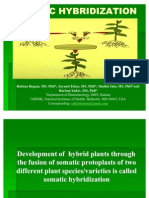 Somatic Hybridization