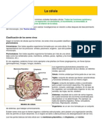 La Célula PDF