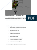 Biologia Extraordinario 1o Eso 19