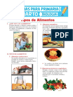 Tipos de Alimentos para Cuarto de Primaria